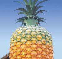 The Big Pineapple - Accommodation BNB