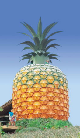 The Big Pineapple - Accommodation BNB 0