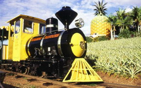The Big Pineapple - Accommodation BNB 3