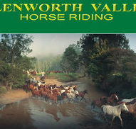 Glenworth Valley Horseriding - Accommodation BNB