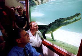 Alice Springs Reptile Centre - Accommodation BNB 1