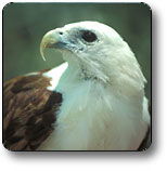 Kakadu National Park - Accommodation BNB 0