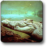 Kakadu National Park - Accommodation BNB 1