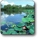 Kakadu National Park - Accommodation BNB 3