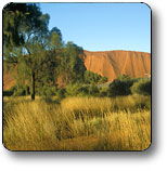 Yuendumu NT Accommodation BNB
