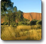 Uluru - Kata Tjuta National Park - Accommodation BNB