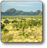 Uluru - Kata Tjuta National Park - Accommodation BNB 2