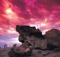 Kangaroo Island Adventure Tour 2 day/1 night - Accommodation BNB