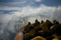 Jetboating Sydney - Accommodation BNB 1