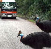 Kookaburra Tours - Accommodation BNB