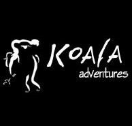 Koala Adventures - Accommodation BNB