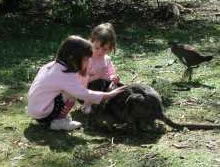 Urimbirra Wildlife Park - Accommodation BNB 1