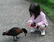 Urimbirra Wildlife Park - Accommodation BNB 3