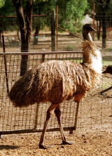 Waterways Wildlife Park - Accommodation BNB 2