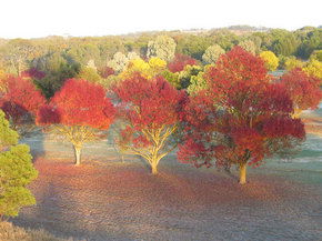 Balloon Adventures Barossa Valley - Accommodation BNB 3