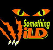 Something Wild - Accommodation BNB