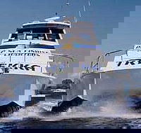 Sunshine Coast Fishing Charters - Accommodation BNB