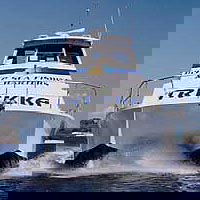 Sunshine Coast Fishing Charters - Accommodation BNB 0
