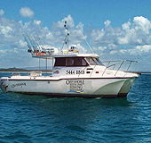 Sunshine Coast Fishing Charters - Accommodation BNB 1