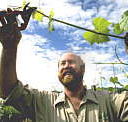 Barossa Experience Tours - Accommodation BNB