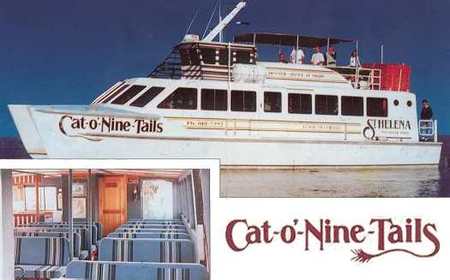 Cat O' NineTails - Accommodation BNB 1