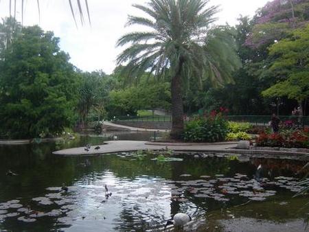Brisbane City Botanic Gardens - Accommodation BNB 0