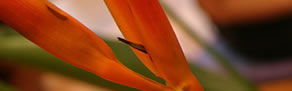 World Square NSW Accommodation BNB
