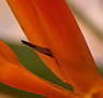 Zen Day Spa - Accommodation BNB