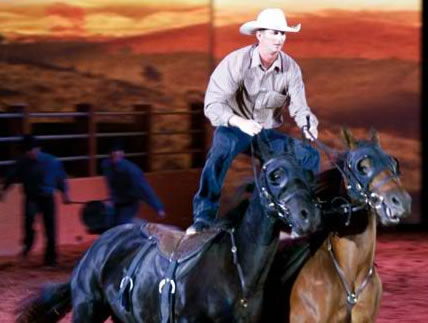 Australian Outback Spectacular - Accommodation BNB 1