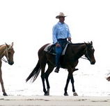 Ride the Beach - Accommodation BNB