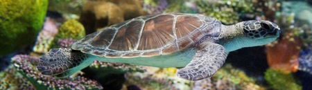 Melbourne Aquarium - Accommodation BNB 1