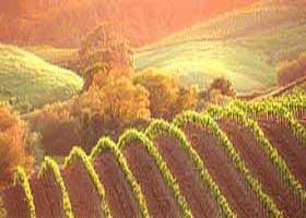 Meridian Tours - Accommodation BNB 2