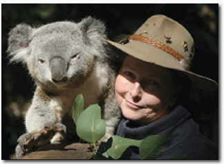 Koala Park Sanctuary - Accommodation BNB 2