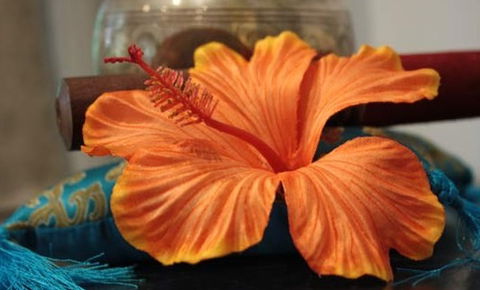 Annasha Day Spa Retreat - Accommodation BNB 5