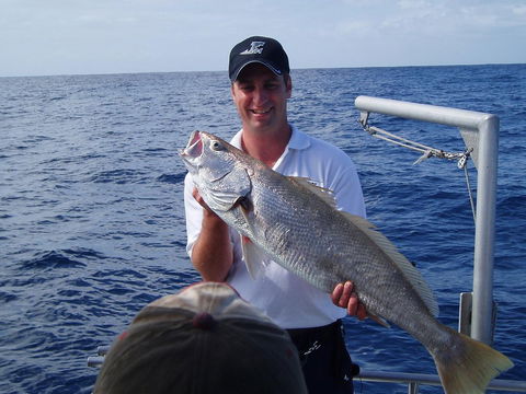 Blue Juice Charters - Accommodation BNB 1