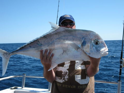Blue Juice Charters - Accommodation BNB 4