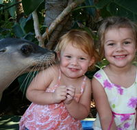 Dolphin Marine Magic - Accommodation BNB