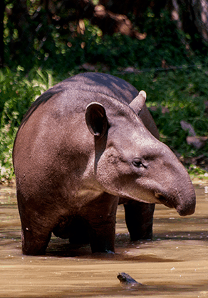 Alma Park Zoo - Accommodation BNB 4