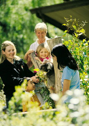 Cleland Wildlife Park - Accommodation BNB 5