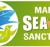 Manly SEA LIFE Sanctuary - Accommodation BNB