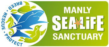 Manly SEA LIFE Sanctuary - Accommodation BNB 0