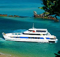 Queensland Day Tours - Accommodation BNB