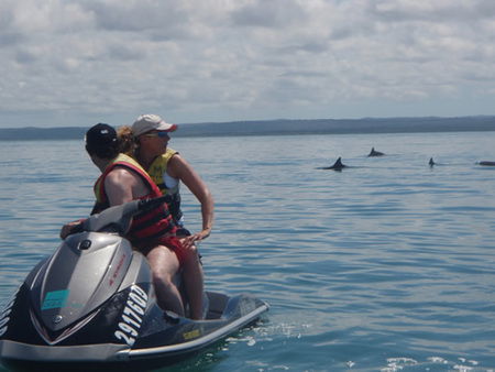 Aquavue Cafe Watersports - Accommodation BNB 5
