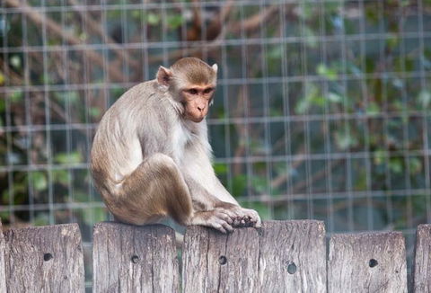 Darling Downs Zoo - Accommodation BNB 5