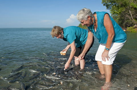 Aquascene Fish Feeding Sanctuary - Accommodation BNB 0