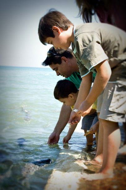 Aquascene Fish Feeding Sanctuary - Accommodation BNB 3