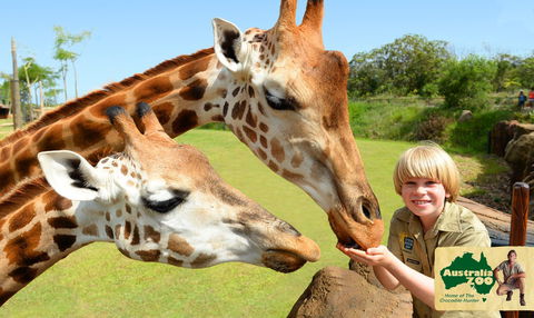 Australia Zoo - Accommodation BNB 4