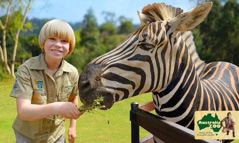 Australia Zoo - Accommodation BNB 5