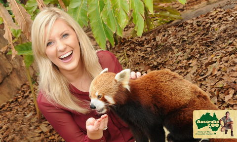 Australia Zoo - Accommodation BNB 7