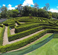 Bellingham Maze - Accommodation BNB